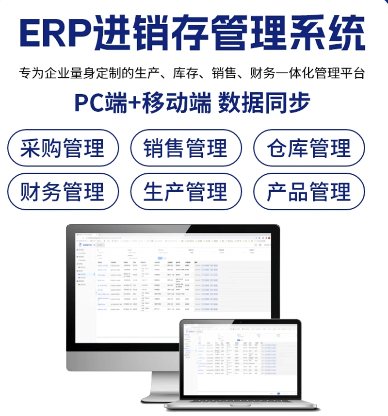ERP进销存软件